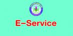 E-Service